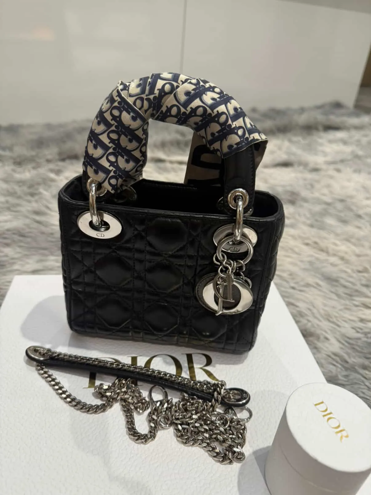 디올 레이디 백